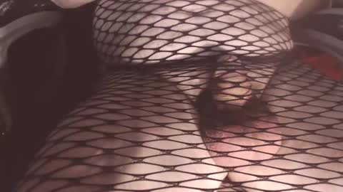 maestro2017 online show from 09.20.25