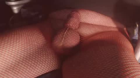 maestro2017 online show from 02.06.26