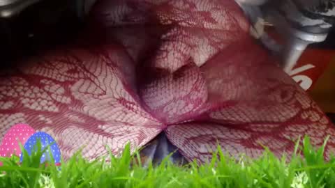 maestro2017 online show from 04.12.26