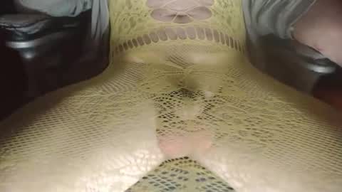 maestro2017 online show from 04.19.26