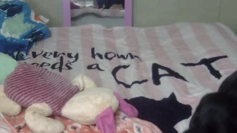 maferchavez88 online show from 02.09.26