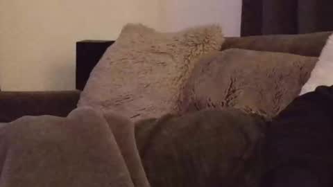 magic_passionitaliano online show from 03.03.26