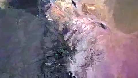 maho0 online show from 12.13.24