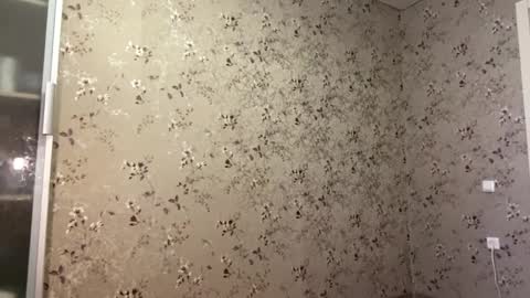 DIna online show from 04.09.26