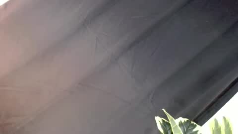 majesticcock_kyla online show from 10.22.25