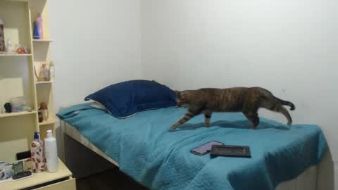 Snapshot of makennaa_1 chatting on 03.12.25 MAKENNAA online show from 03.12.25