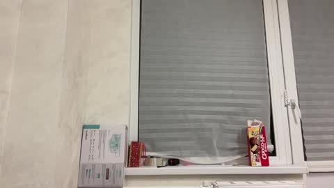 Tom and Mark 3 online show from 01.25.25