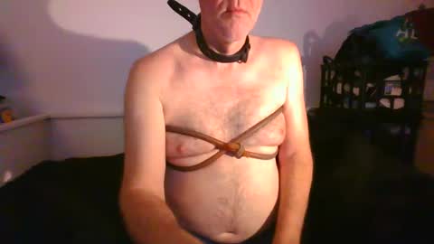 Snapshot of malebdsmslut chatting on 01.29.25 CommandbondageNipples bondage kink submissive lovense slave wgear. modequiethvyBondage If Password goldfish online show from 01.29.25