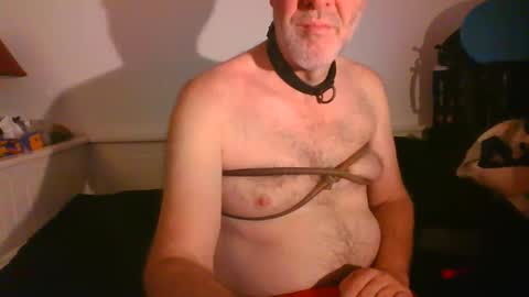 Snapshot of malebdsmslut chatting on 02.16.25 CommandbondageNipples bondage kink submissive lovense slave wgear. modequiethvyBondage If Password goldfish online show from 02.16.25