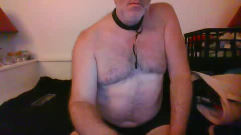 Snapshot of malebdsmslut chatting on 09.27.25 CommandbondageNipples bondage kink submissive lovense slave wgear. modequiethvyBondage If Password goldfish online show from 09.27.25
