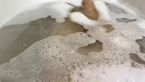 Snapshot of malekula1 chatting on 11.10.25 Monad online show from 11.10.25