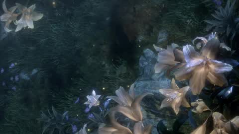 piu online show from 04.02.26