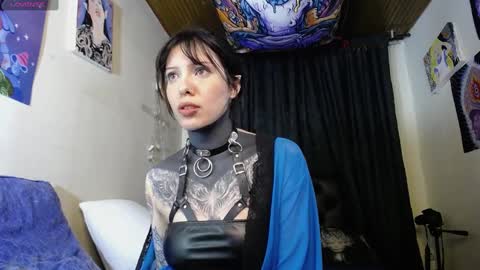 Alice Asylum online show from 12.19.24