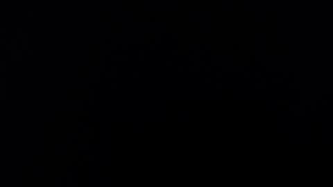 Alice Asylum online show from 11.16.25