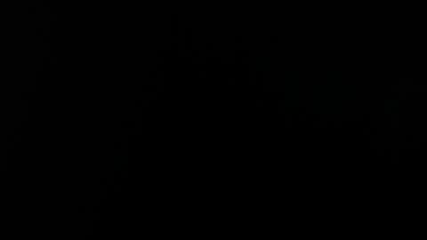 Alice Asylum online show from 04.19.26