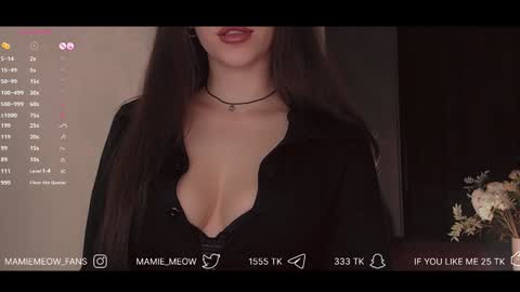 Snapshot of mamiemeow chatting on 01.31.25 Your Miss Alice online show from 01.31.25