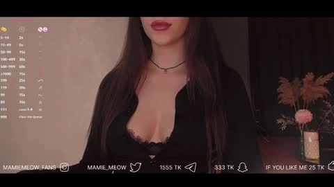 Snapshot of mamiemeow chatting on 02.06.25 Your Miss Alice online show from 02.06.25