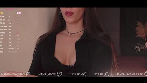 Snapshot of mamiemeow chatting on 02.06.25 Your Miss Alice online show from 02.06.25