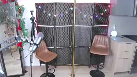 Snapshot of mandygoodhandy chatting on 12.29.24 Mandy Goodhandy online show from 12.29.24