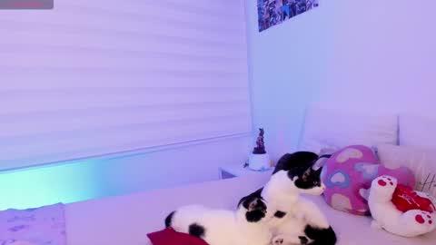   online show from 02.02.26