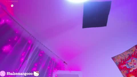 Snapshot of mangoshake_ chatting on 04.26.26 Manguito online show from 04.26.26
