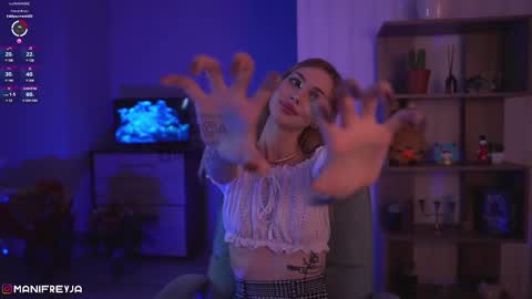 Snapshot of manifreyja chatting on 12.08.24 Amelie online show from 12.08.24