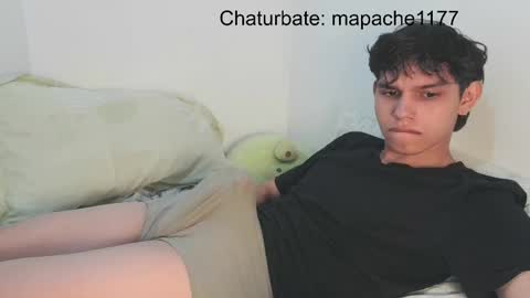 Snapshot of mapache1177 chatting on 04.06.26 mapache1177 online show from 04.06.26