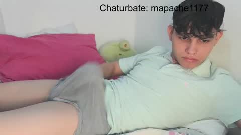 Snapshot of mapache1177 chatting on 04.24.26 mapache1177 online show from 04.24.26