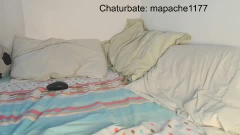 Snapshot of mapache1177 chatting on 05.21.26 mapache1177 online show from 05.21.26