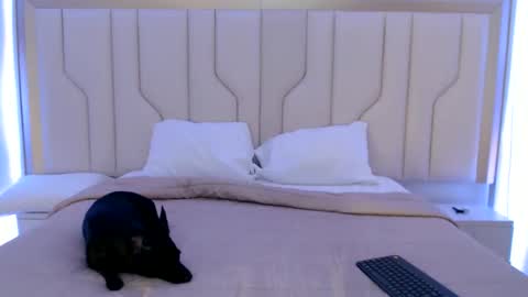 Snapshot of mara_sex chatting on 06.11.26 pao online show from 06.11.26