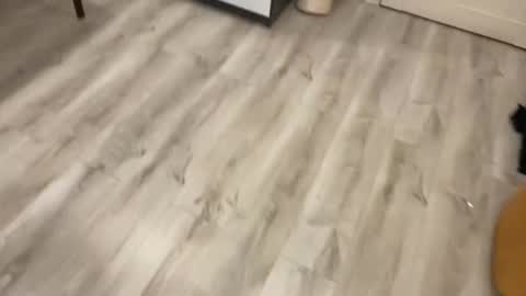 alex marvelxx online show from 02.05.26