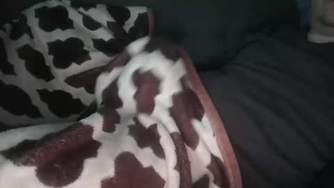 Snapshot of marekishere chatting on 11.14.25 marek online show from 11.14.25