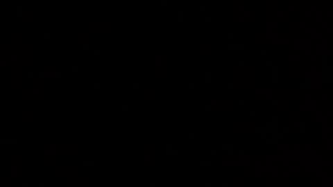 Elle online show from 10.25.25