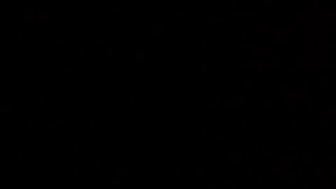 Elle online show from 12.04.25