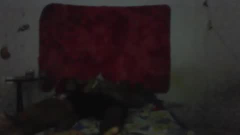 casal delicia online show from 02.01.26