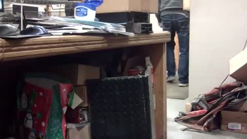 markpanier online show from 01.02.25