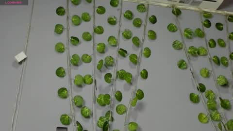 marly online show from 02.28.25