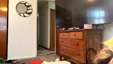 maroon_moon online show from 02.14.25