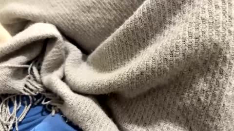 marriedthickdick37 online show from 01.12.25