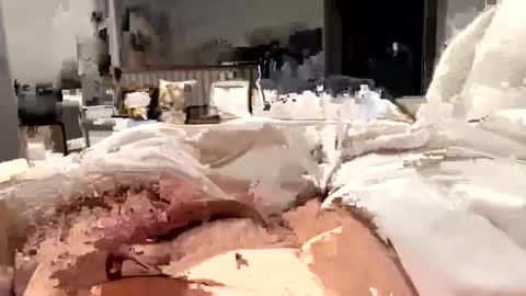 marriedthickdick37 online show from 02.12.25