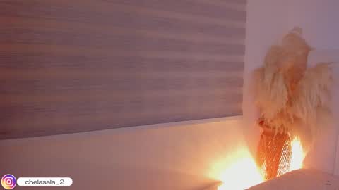 Mar online show from 02.20.26