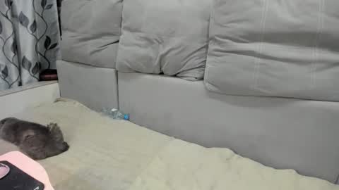 martaandserg online show from 04.07.26