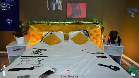 Mary GTM3Mon Wed Thu Sat Sun 0400 am-1030pm online show from 12.26.24