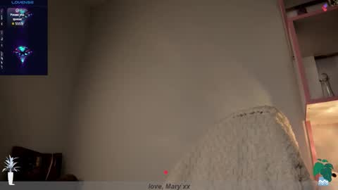 Mary GTM3Mon Wed Thu Sat Sun 0400 am-1030pm online show from 11.24.25