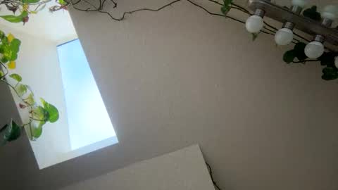 Snapshot of masturbatingmariamiller chatting on 11.28.25 masturbatingmariamiller online show from 11.28.25