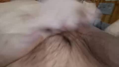 masturbator469658 online show from 11.07.25