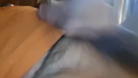 masturbator469658 online show from 01.13.26