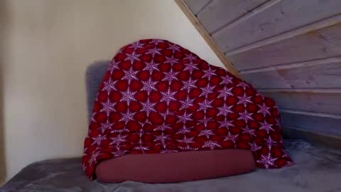 matko1492 online show from 03.02.26