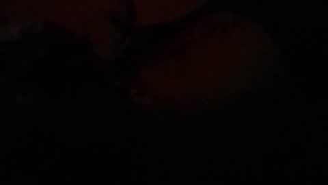 Lira online show from 02.23.26