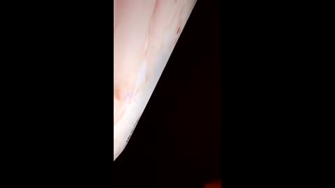 mausaa1199 online show from 03.31.26